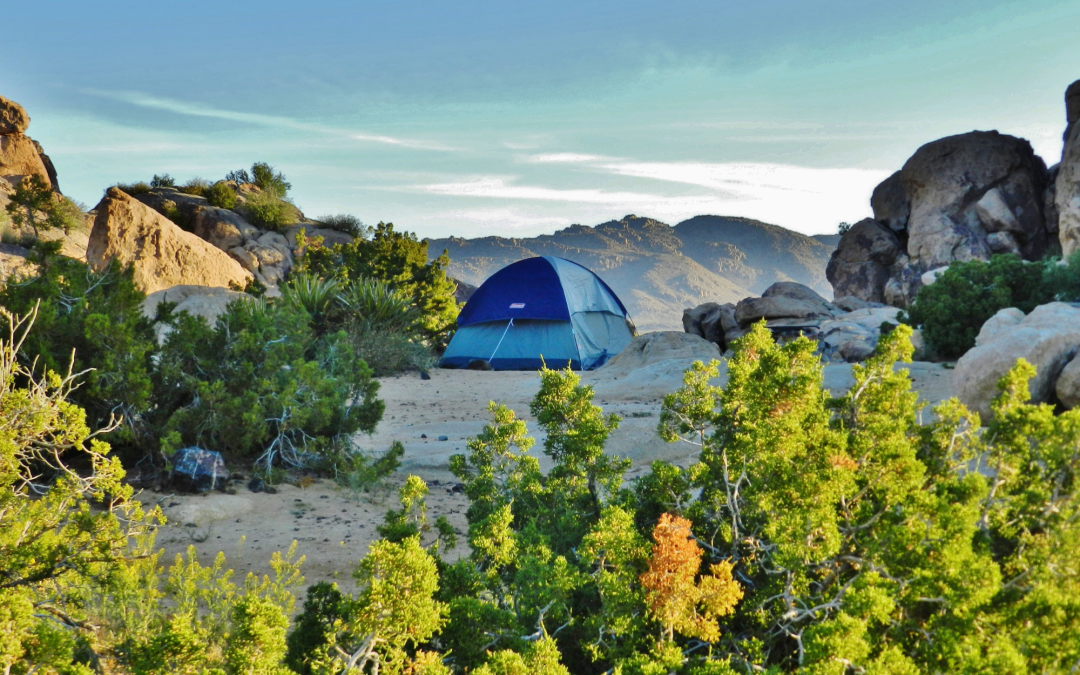 The Most Popular Camping Destinations in the World